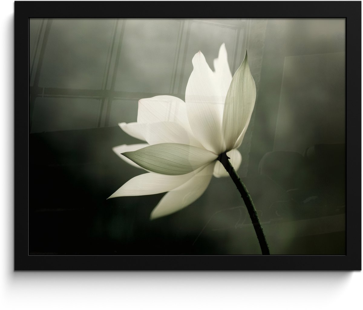 FrameYourWall Poster in lijst - Fotolijst 40x30 cm - Posters - Wit - Lotus - Donker - Bloem - Posterlijst zwart - Decoratie - Wanddecoratie woonkamer - Muurdecoratie slaapkamer Lotus - Bloem
