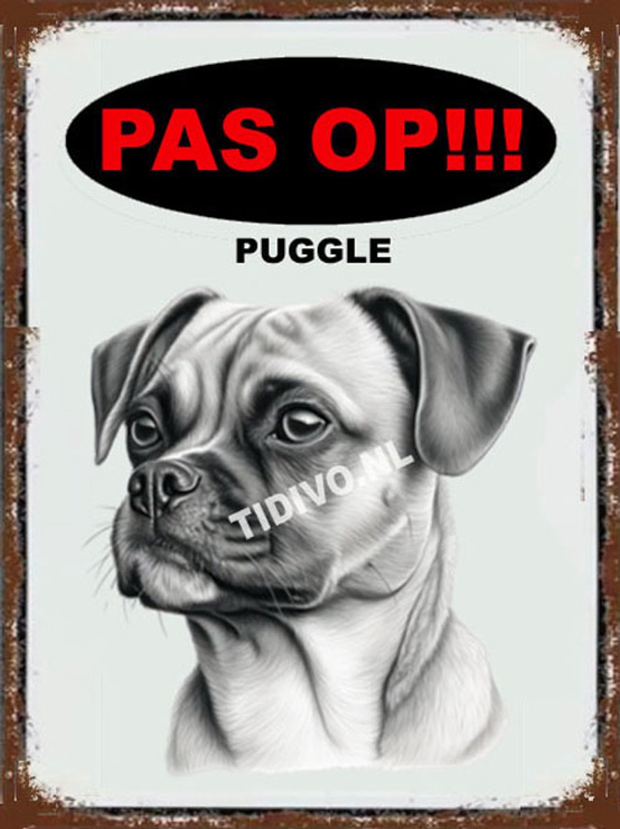Puggle 17