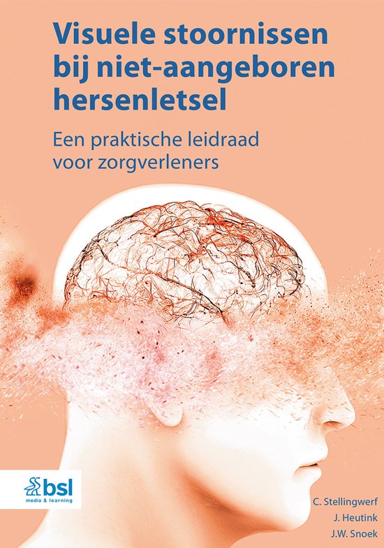 Visuele stoornissen bij niet-aangeboren hersenletsel - cover