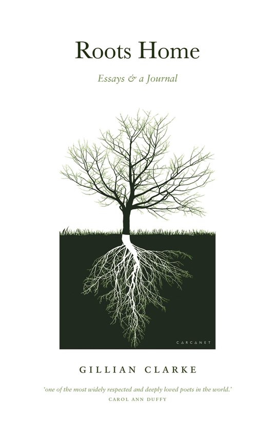 Roots Home - cover