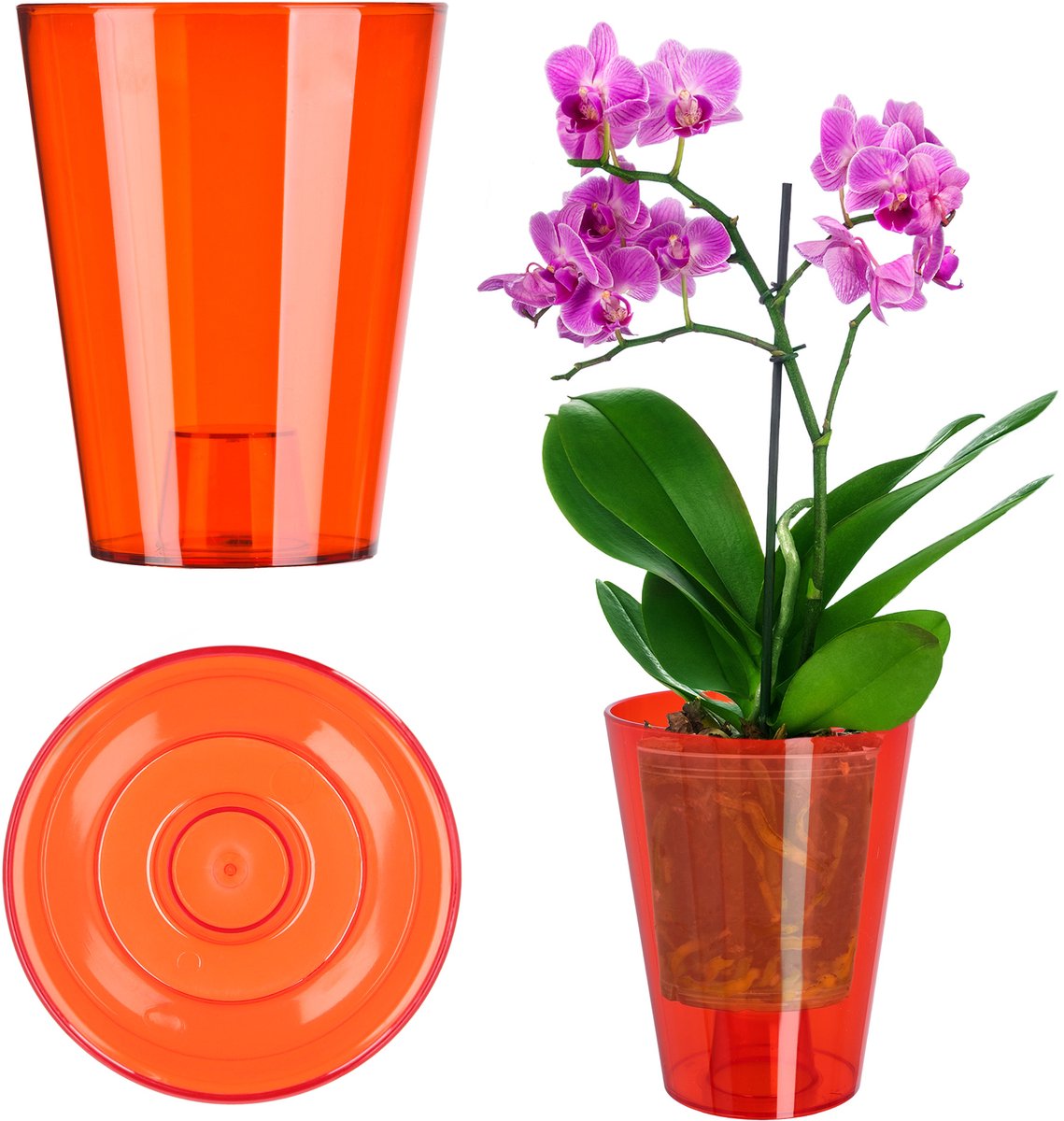 KADAX Bloempot, slanke orchideeënpot, eenvoudige plantenbak, bloempot voor orchidee, Moeras Madeliefjes, plantenbak voor keuken en woonkamer (diameter 12 cm, rond, rood)