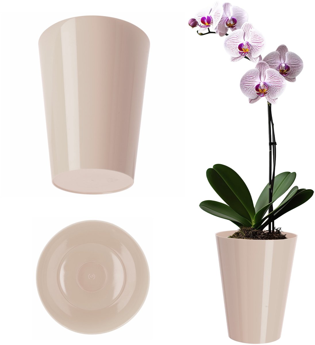 KADAX Bloempot, orchideeënpot, eenvoudige bloempot, bloempot voor orchidee, juveniel, madeliefje, bloempot voor keuken en woonkamer (diameter 13 cm, rond, crème)