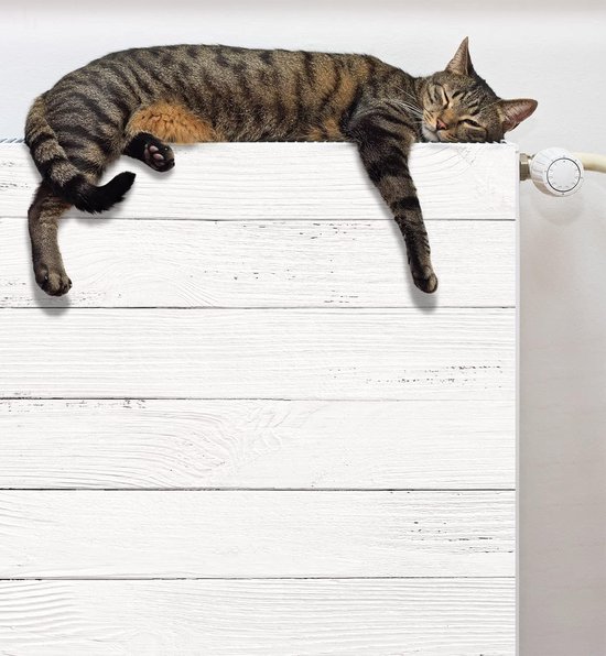 Welke magneet voor radiatorombouw? Beste keuze voor radiatorbekleding