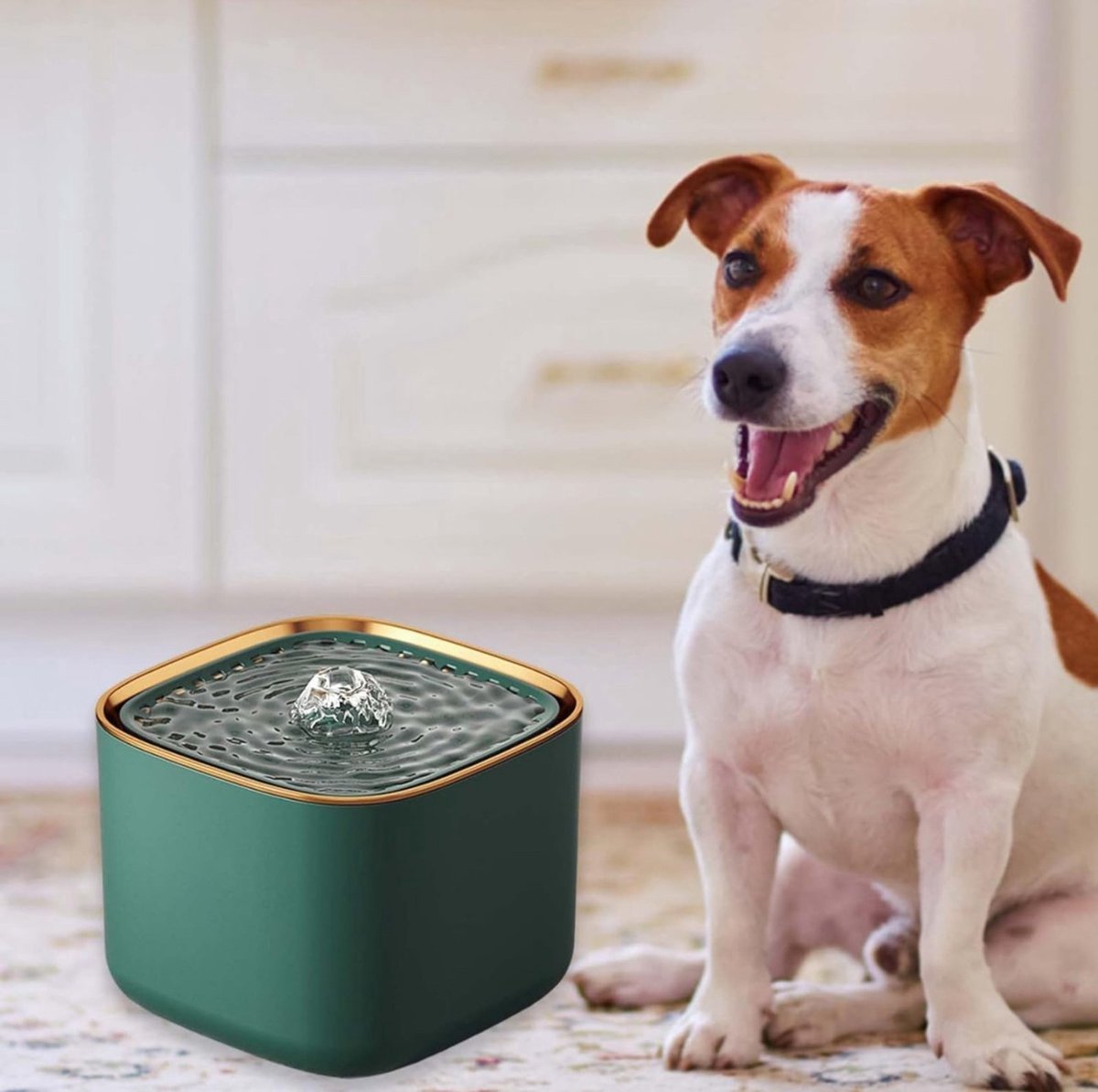 Kat en hond drinker met filterwater – Smart droog verbranden stroom – Huisdier drinker – Kat en hond koeling – 3 liter – Stil – Geen logo – Groen