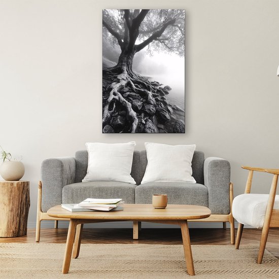 Oude boom met zichtbare wortels - Boom glazen schilderijen - Schilderij natuur - Hyperrealisme - Plexiglas schilderijen - Wandkunst plexiglas - acrylglas 40x60 cm