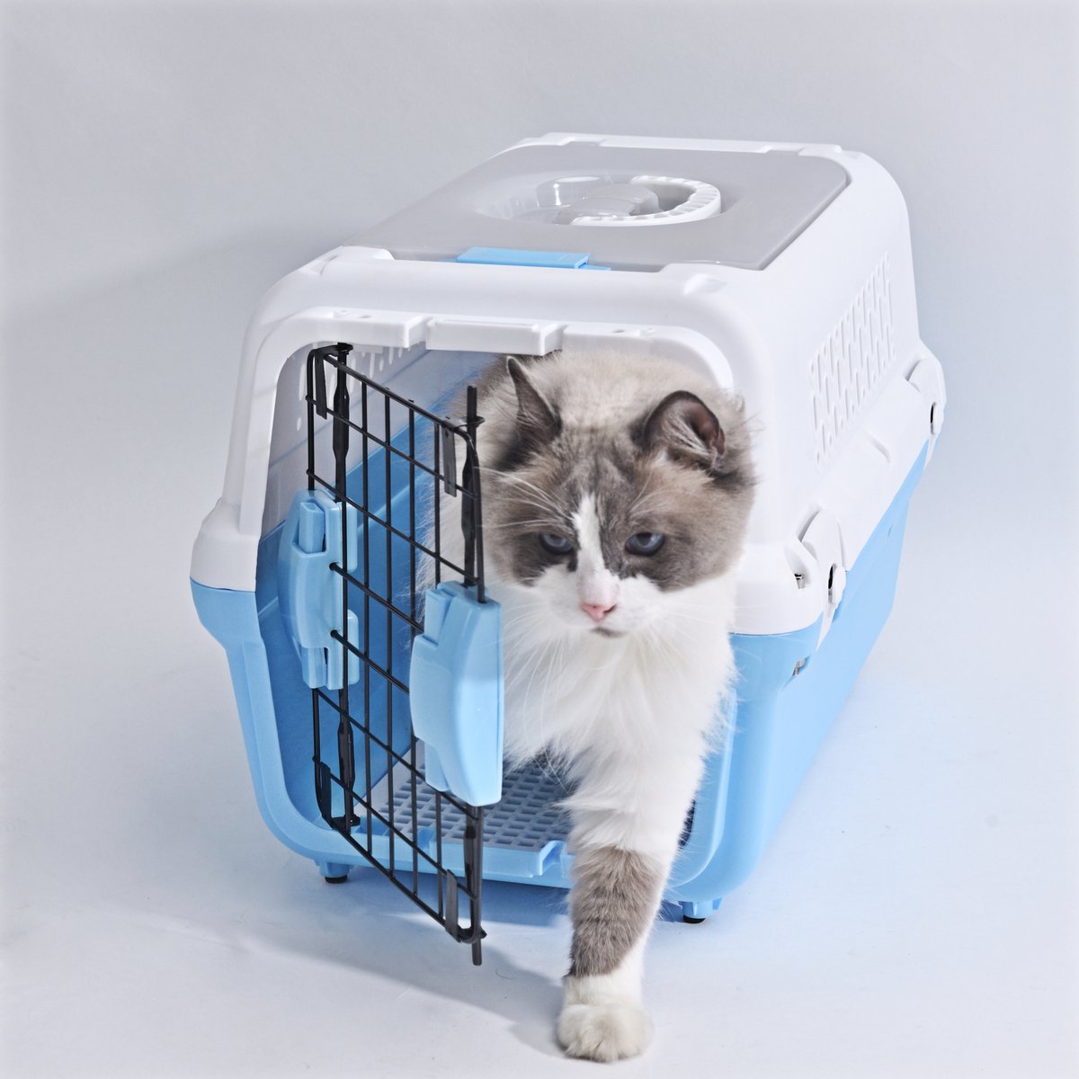 RHRQuality Reismand Kat & Hond – Stevige Transportbox met Stalen Deur – Reistas Kat XL (50 x 30 x 30 cm) – Lichtgewicht & Veilig – Blauw