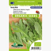 Sluis Garden - Wilde Rucola Rocky Wild Biologisch (Diplotaxis selvatica)