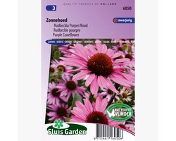 Sluis Garden - Zonnehoed purpurea (Echinacea)