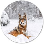 Wolf in de sneeuwval - Wolf schilderij rond - Wandobject rond dieren - Hyperrealisme - Forex wanddecoratie - Woonaccessoires - muurcirkel forex 40x40 cm