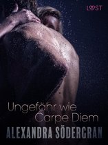 LUST - Ungefähr wie Carpe Diem: Erotische Novelle