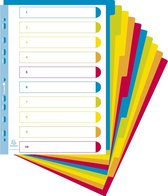 15x Campus® Tabbladen in PP met onbedrukte tabs- 10 tabs - A4 maxi, Doorschijnend