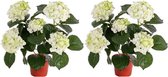 2x Kunstplant hortensia plant wit/groen 36 cm -  Kunstplanten/nepplanten
