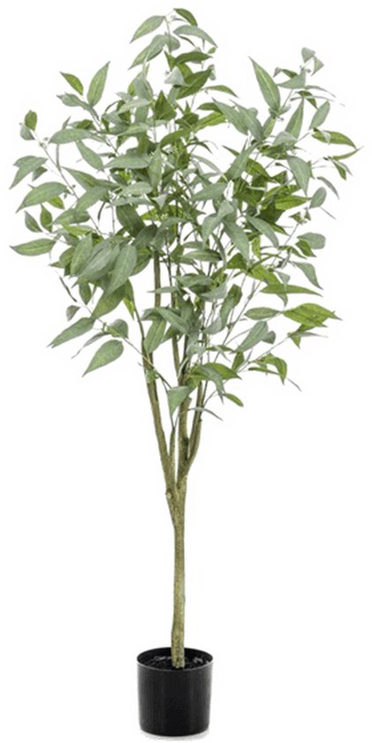 Eucalyptus globulus artificiel 150 cm