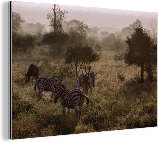 Wanddecoratie Metaal - Aluminium Schilderij Industrieel - Mistige ochtend in het Krugerpark in Zuid-Afrika - 120x80 cm - Dibond - Foto op aluminium - Industriële muurdecoratie - Voor de woonkamer/slaapkamer
