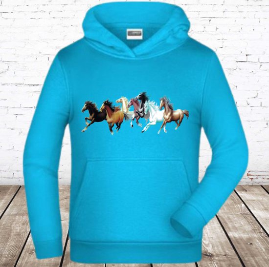 Blauwe hoodie met paarden -James & meisjes