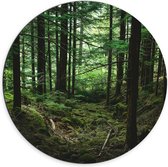 WallClassics - Dibond Muurcirkel - Volgroeid Bos - 70x70 cm Foto op Aluminium Muurcirkel (met ophangsysteem)