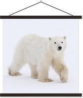 Porte-affiche avec affiche - Affiche scolaire - Ours polaire - Neige - Wit - 90x90 cm - Lattes noires