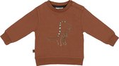 Frogs and Dogs - Dino Park Sweater Dinosaur - Maat 68 - Jongens