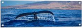 WallClassics - Tuinposter – Walvis Staart in de Zee - 90x30 cm Foto op Tuinposter  (wanddecoratie voor buiten en binnen)