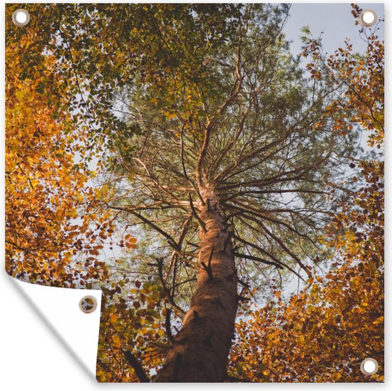 Gards Tuinposter Eikenboom aan het Water met Volle Bladeren - 100x100