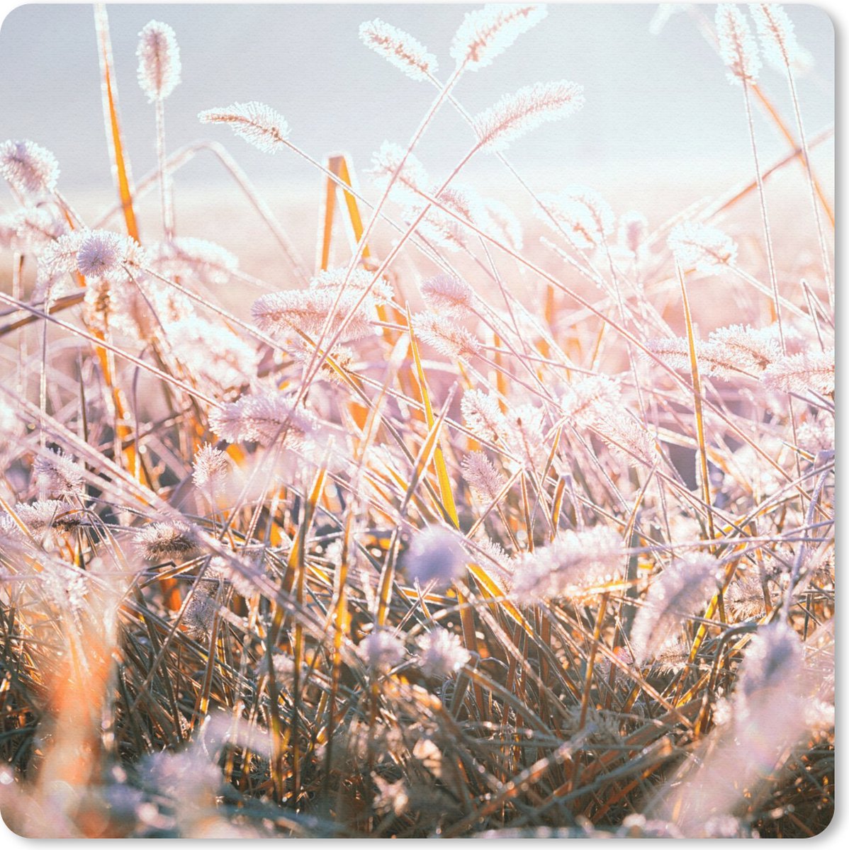 Muismat 30x30 cm - Mousepad Gras - Zon - Winter - Sneeuw - Muismatten
