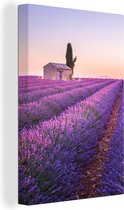 OneMillionCanvasses - Canvas schilderij - Lavendel - Bloemen - Boom - Landschap - Schilderij bloemen - Canvas doek - 20x30 cm - Muurdecoratie - Woonkamer