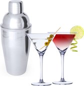 4x Cocktailglazen / martiniglazen 220 ml + Cocktailshaker 550 ml RVS