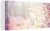 Canvas Schilderij Winter - Takken - Sneeuw - Natuur - 80x40 cm - Wanddecoratie