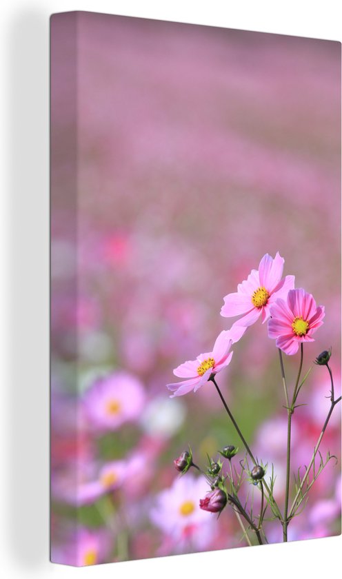 Canvas Schilderij Bloemen - Buiten - Roze - 40x60 cm - Wanddecoratie