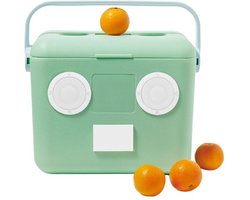 Sunnylife - Beach Accessoires Bluetooth Speaker en Koelbox Mint - Polypropyleen - Groen