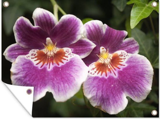 Décoration de Jardin Orchidée sauvage - 40x30 cm - Toile de jardin