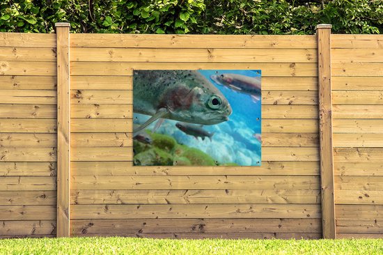 Affiche jardin - Toile jardin - Affiches jardin extérieur - Gros plan d'une truite - Posters de jardin cm - Jardin