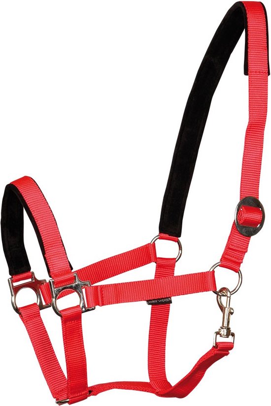 Rood halster met zwarte suèdine padding en zilverkleurige gespen.