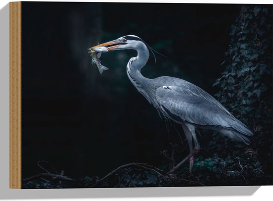 WallClassics - Hout - Blauwe Reiger heeft een Vis Gevangen - 40x30 cm - 12 mm dik - Foto op Hout (Met Ophangsysteem)