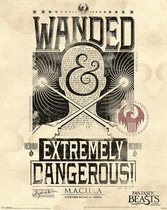 FANTASTIC BEASTS - Mini Poster 40X50 - Extremely Dangerous