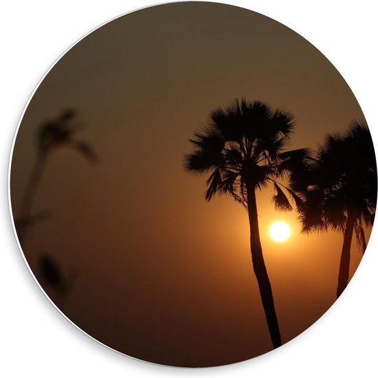 Forex Wandcirkel - Palmbomen met de Zon op de Achtergrond - Foto op Wandcirkel (met ophangsysteem)