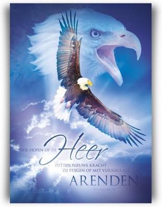 Affiche A3 - qui espère dans le Seigneur (aigle) - Bible - chrétien - allié  Majestic -... | bol