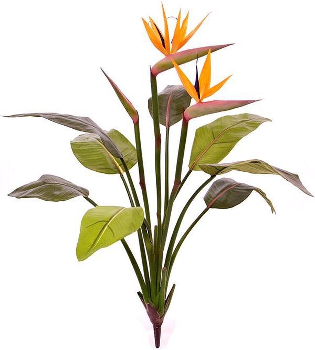 maxifleur Kunstplanten Strelitzia kunstplant 75cm Groen