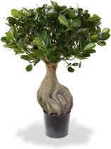 Panda kunst bonsai 55 cm