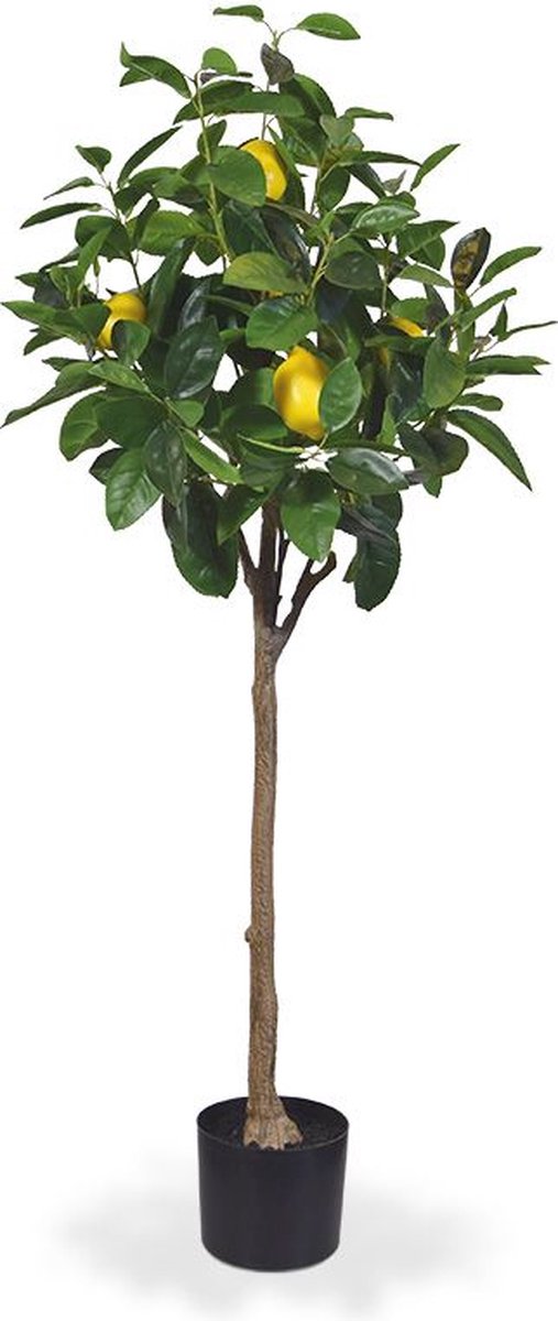 maxifleur Kunstplanten Citroen kunstboom op stam 120cm Groen