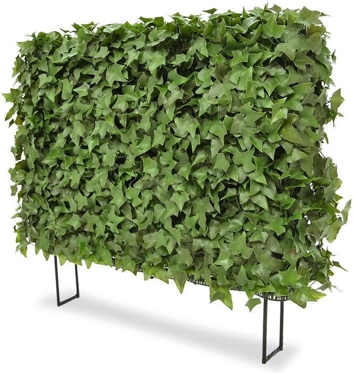 maxifleur Kunstplanten Hedera kunstheg 80x25x56cm - UV bestendig Groen