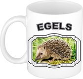 Dieren egel beker - egels/ egels mok wit 300 ml