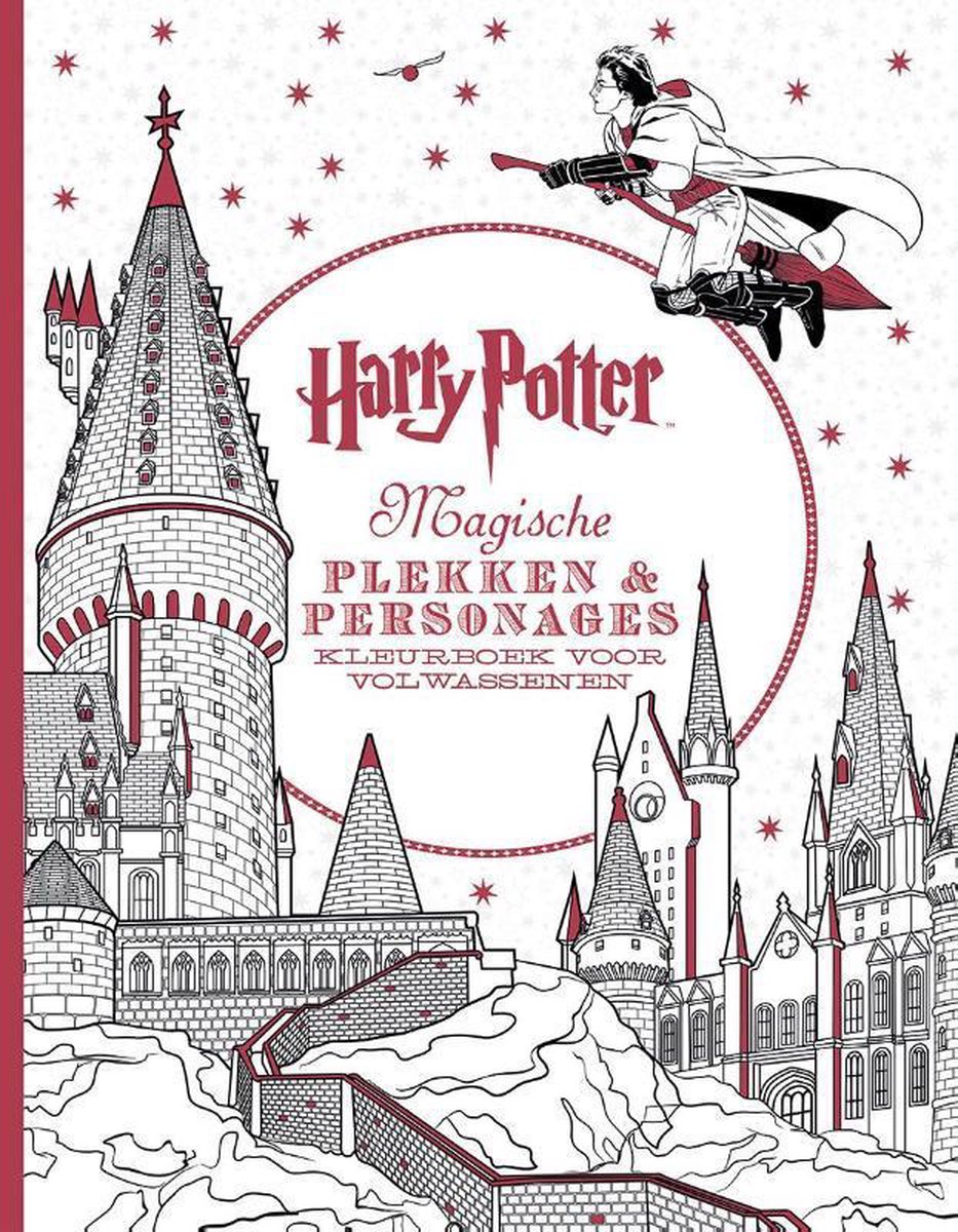 Harry Potter magische plekken en personages - Diverse auteurs
