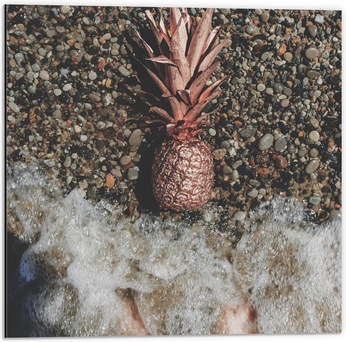 Dibond - Gouden Ananas Spoelt aan - 50x50cm Foto op Aluminium (Met Ophangsysteem)