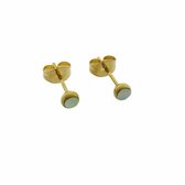 Aramat jewels ® - Oorbellen zweerknopjes wit goudkleurig chirurgisch staal 4mm
