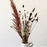 Droogboeket - COZINESS - Droogbloemen Boeket Dry FLWRS®