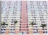Dibond - Kleurrijk Appartementencomplex met Palmbomen - 40x30cm Foto op Aluminium (Wanddecoratie van metaal)