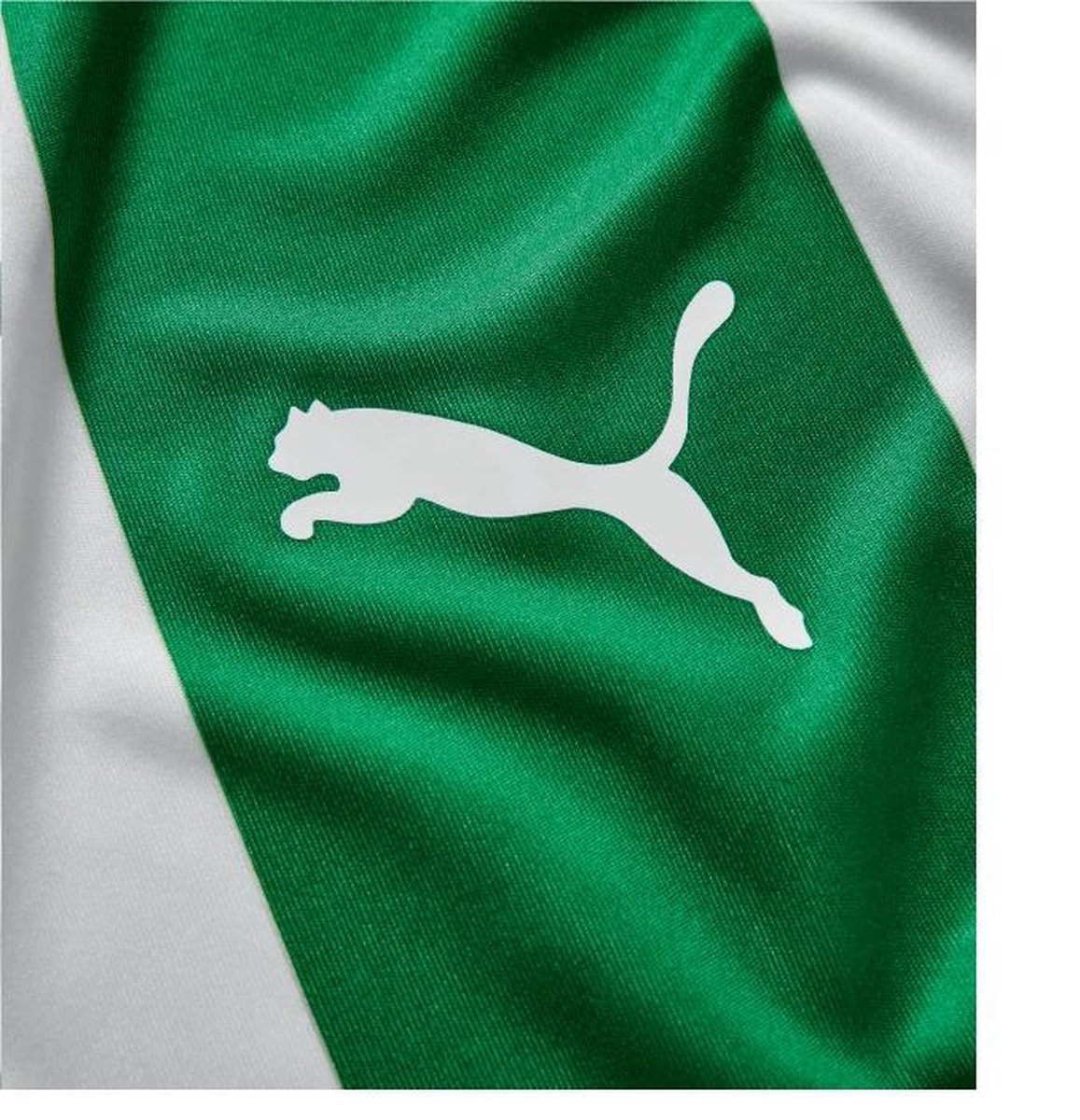 radicaal Amazon Jungle dynastie Puma Fc. Groningen heren voetbalshirt groen | bol.com