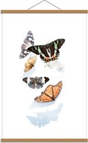Schoolplaat – Verschillende Vlinders - 60x90cm Foto op Textielposter (Wanddecoratie op Schoolplaat)