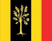 Vlag gemeente Waalwijk 200x300 cm